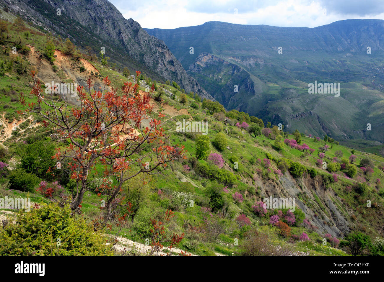 Albanien, Balkan, Mitteleuropa, Osteuropa, europäische, Südeuropa, Reisen, Reiseziele, Landschaft, Natur, Berg, m Stockfoto