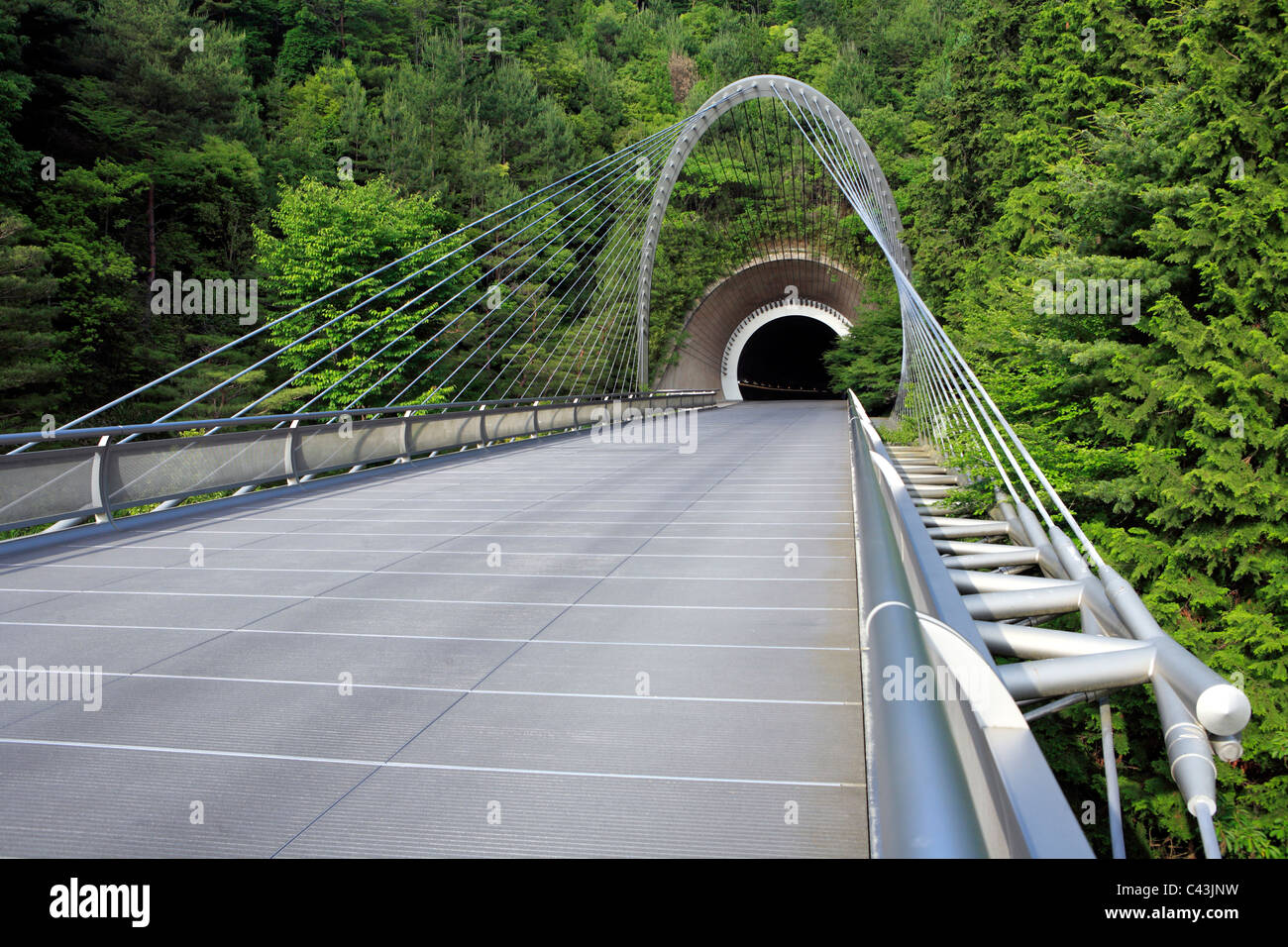 Asien, Asien, Fernost, Japan, Japanisch, Reisen, Reiseziele, Landschaft, Natur, Miho Museum, Shigaraki, Pei, Straße Stockfoto