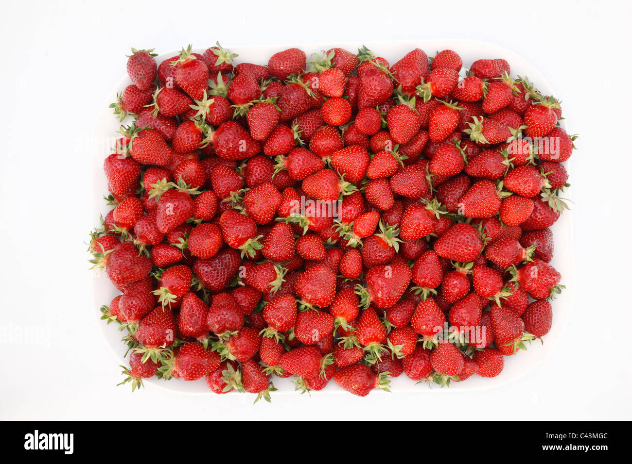 Erdbeeren Stockfoto