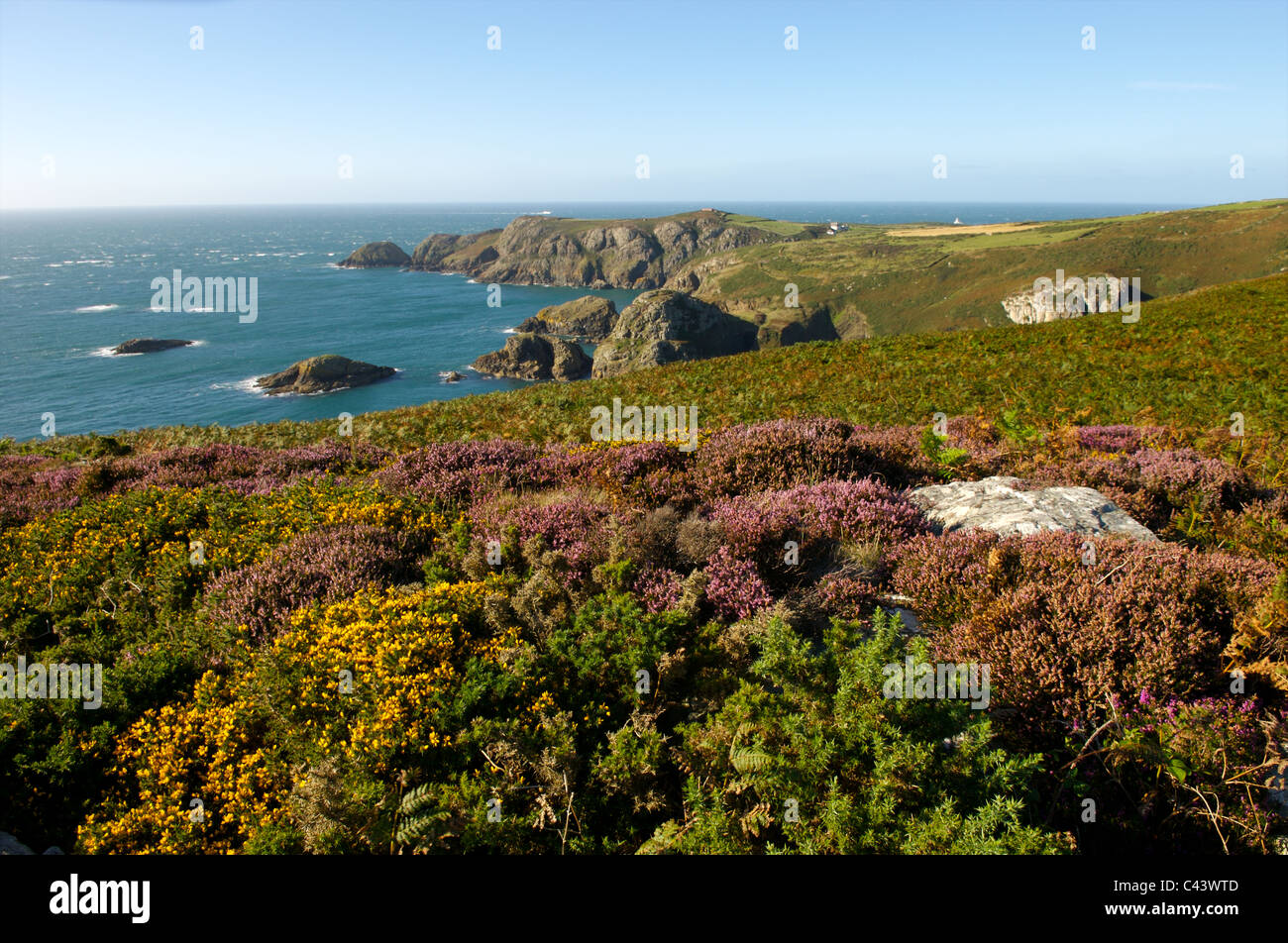 Stolperfallen Kopf, Pembrokeshire, Wales Stockfoto