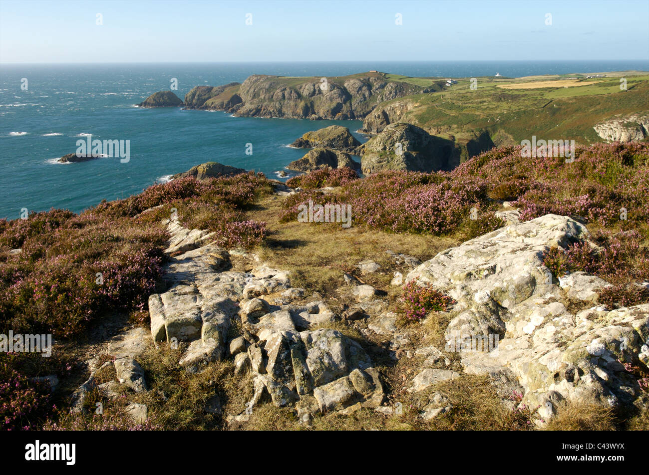 Stolperfallen Kopf, Pembrokeshire, Wales Stockfoto