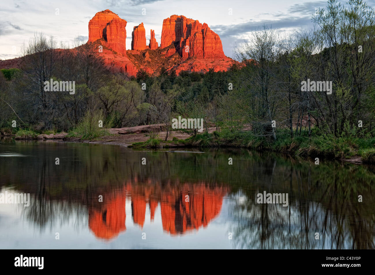 Abendlicht taucht Cathedral Rock widerspiegelt in Oak Creek in Sedona, Arizona. Stockfoto