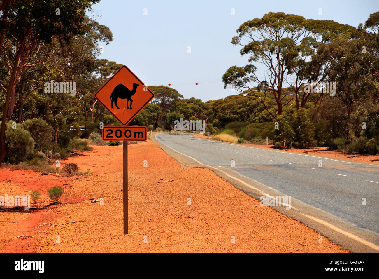 Am Straßenrand Camel Warnschild, Coolgardie Western Australia Stockfoto