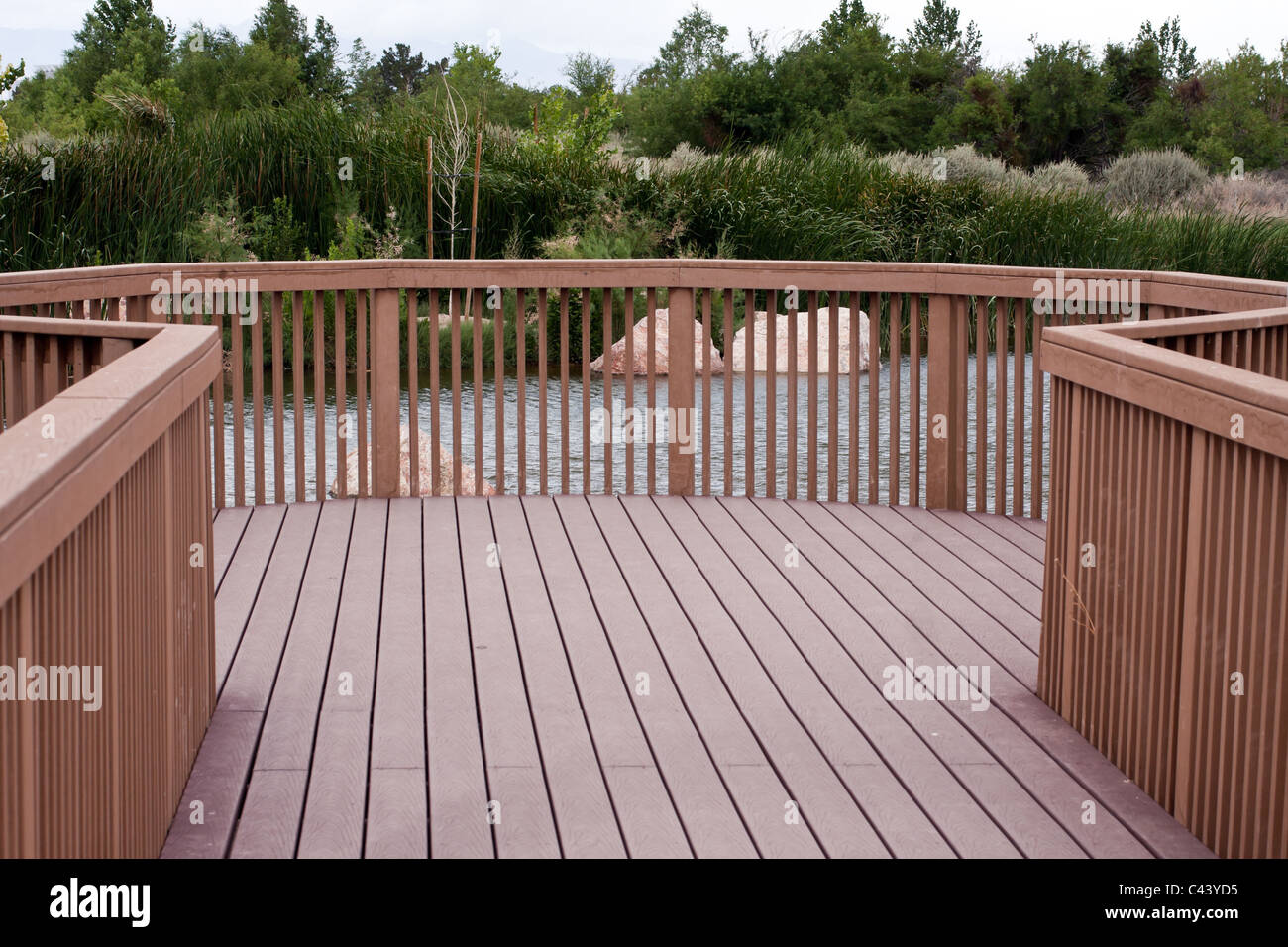 an Bord zu Fuß Hintergrund Kurve gehen weg Holz panel niemand Durchgang grüne See Busch Weg Stockfoto