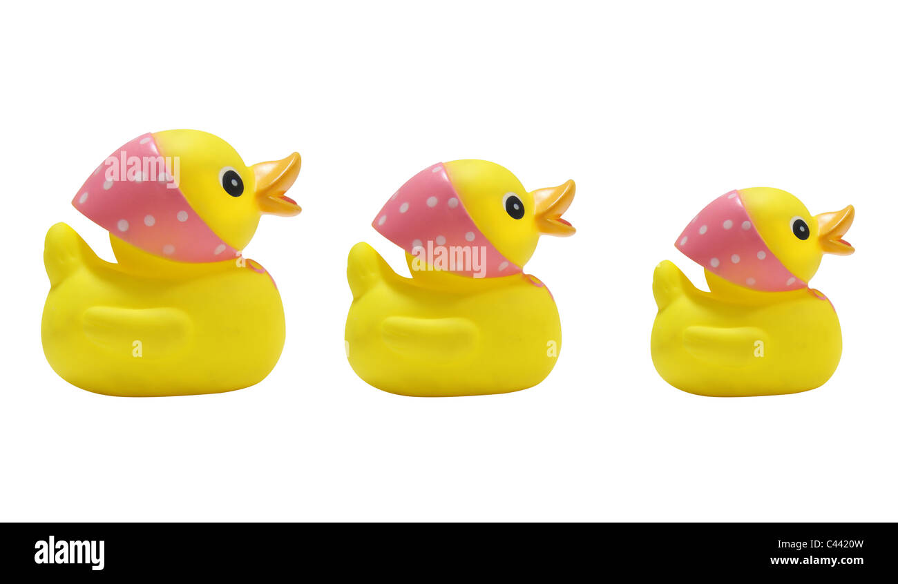 Entenküken in Folge Stockfoto