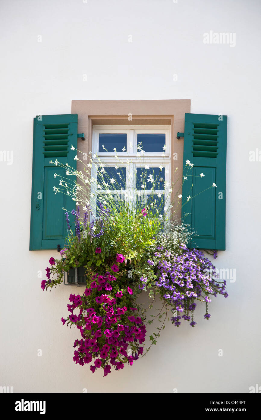 Blumen unter ein Fenster mit Fensterläden Stockfoto