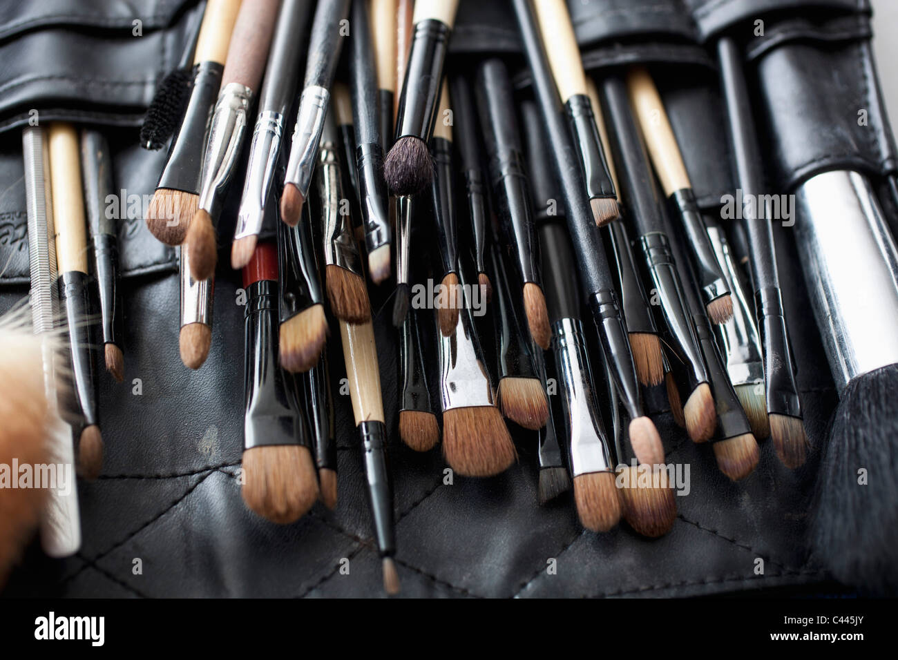 Detail der ein professionelles Make-up Pinsel set Stockfoto