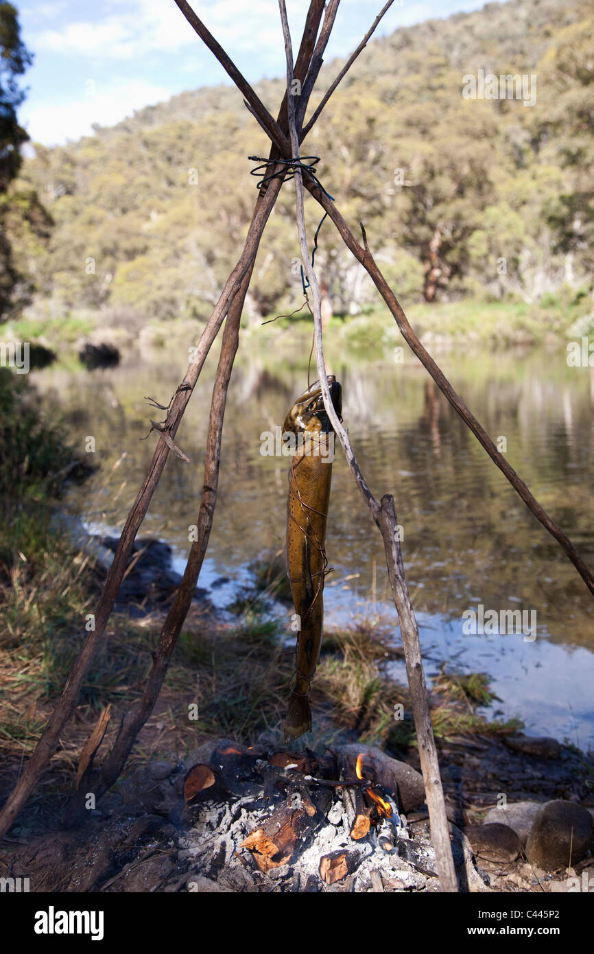 Ein Fisch kochen über dem Lagerfeuer am Fluss Stockfoto