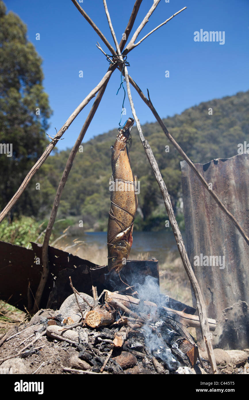 Ein Fisch kochen über dem Lagerfeuer Stockfoto