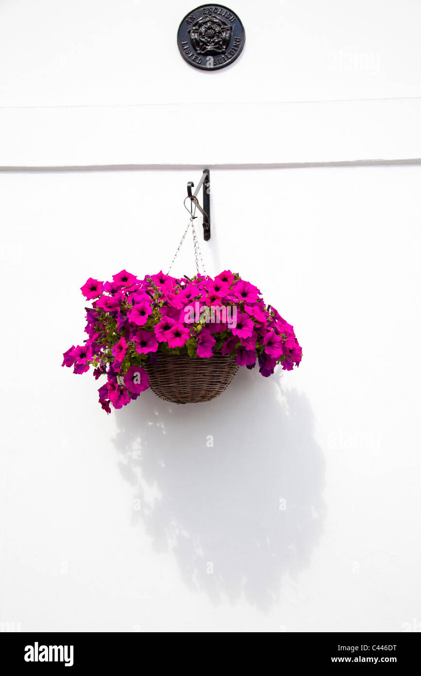 Blumenampel Blume auf einem weißen Haus. Stockfoto