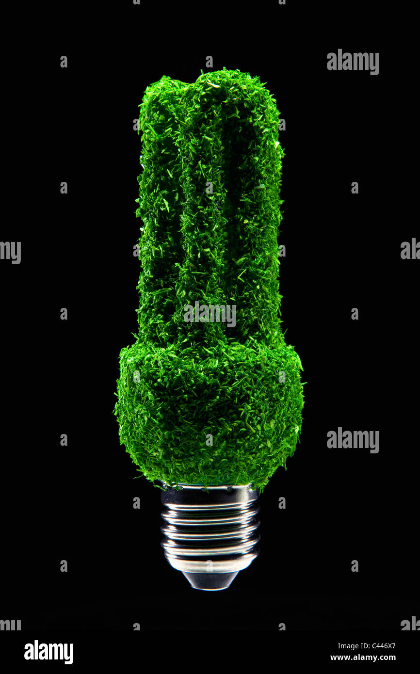 Energiesparlampe in grünen Rasen bedeckt Stockfoto