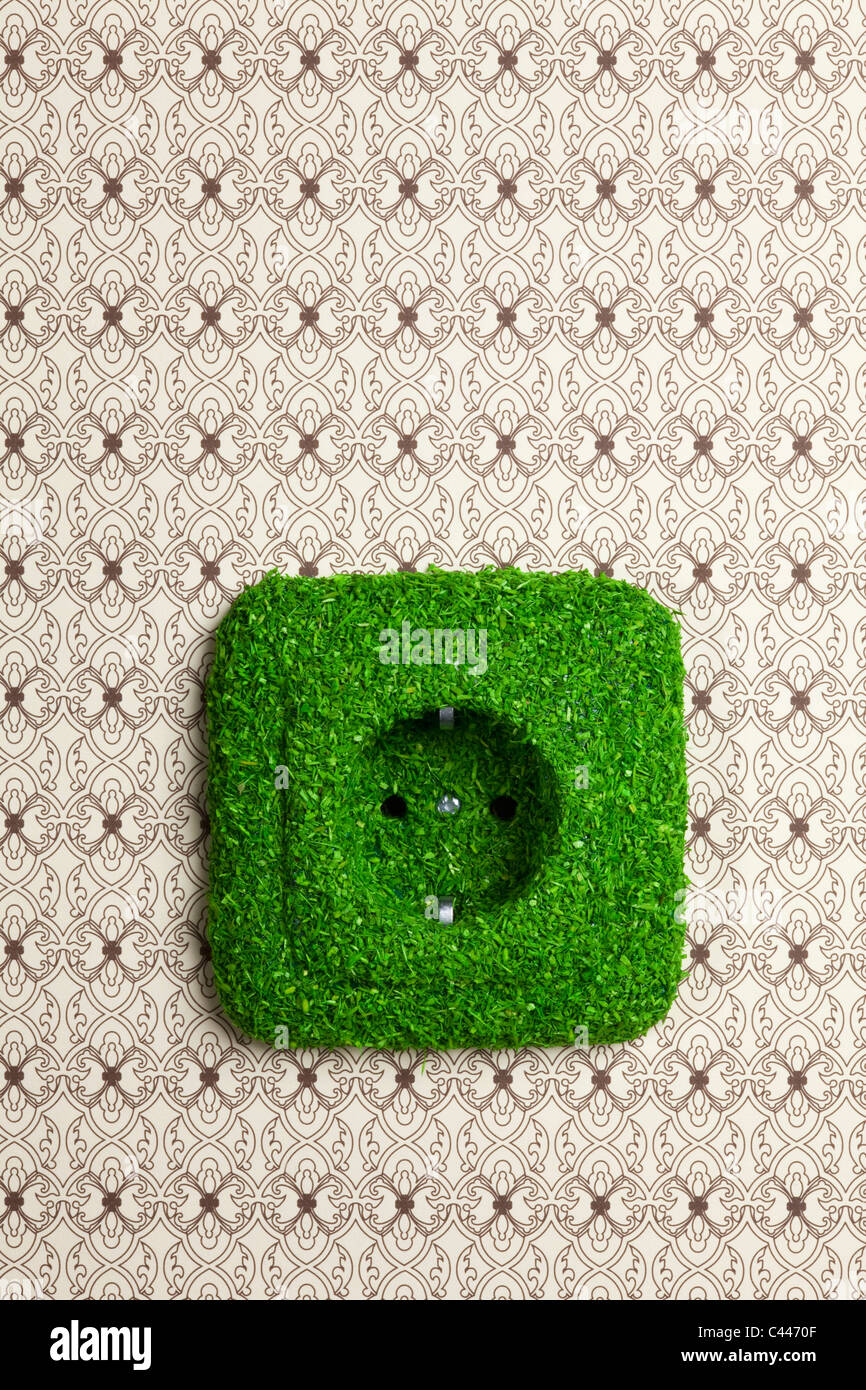 Energiesparende elektrische Steckdose mit Rasen bedeckt Stockfoto
