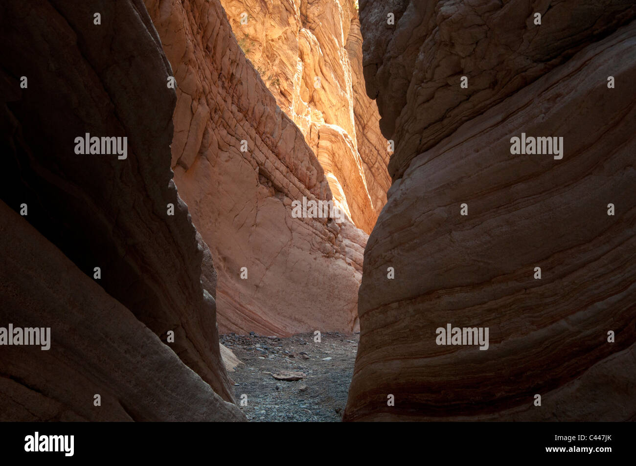 Lovell verengt, Lake Mead National Recreation Area, Nevada, USA, Nordamerika, Stein, Felsen, Formationen, canyon Stockfoto