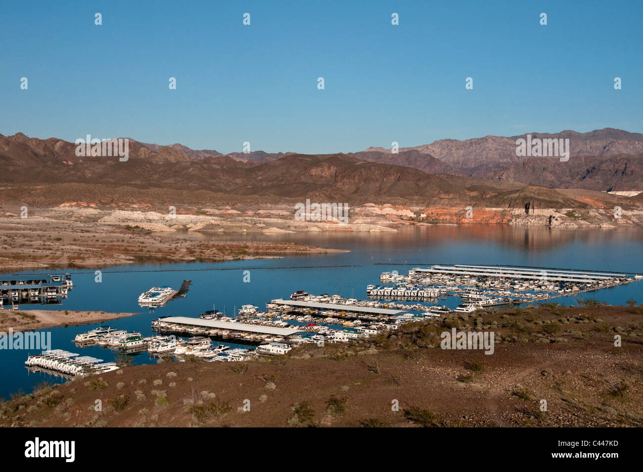 Calville Bay, Lake Mead National Recreation Area, Nevada, USA, Nordamerika, Amerika, Hafen, See, Landschaft Stockfoto