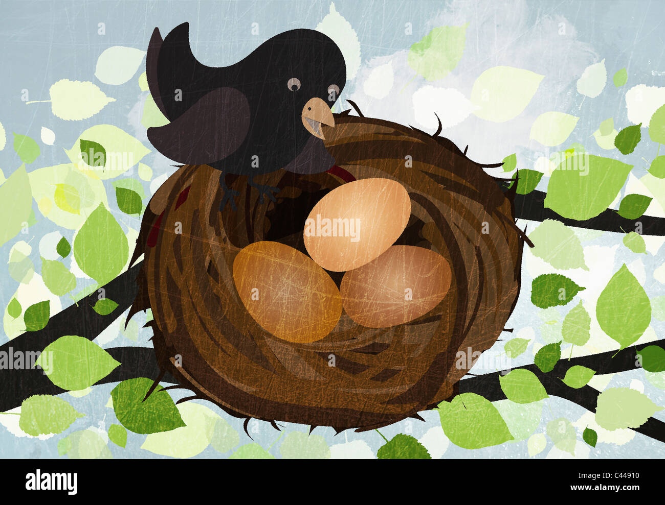 Ein Vogel in einem Nest mit drei Eiern Stockfoto