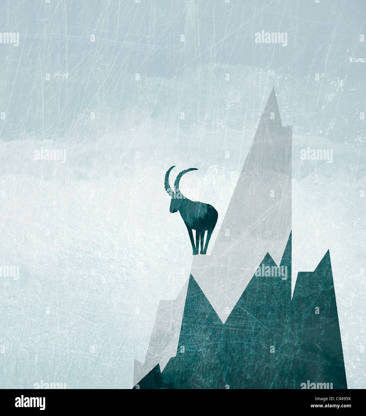 Eine Ziege auf der Seite einen schneebedeckten Berg Stockfoto