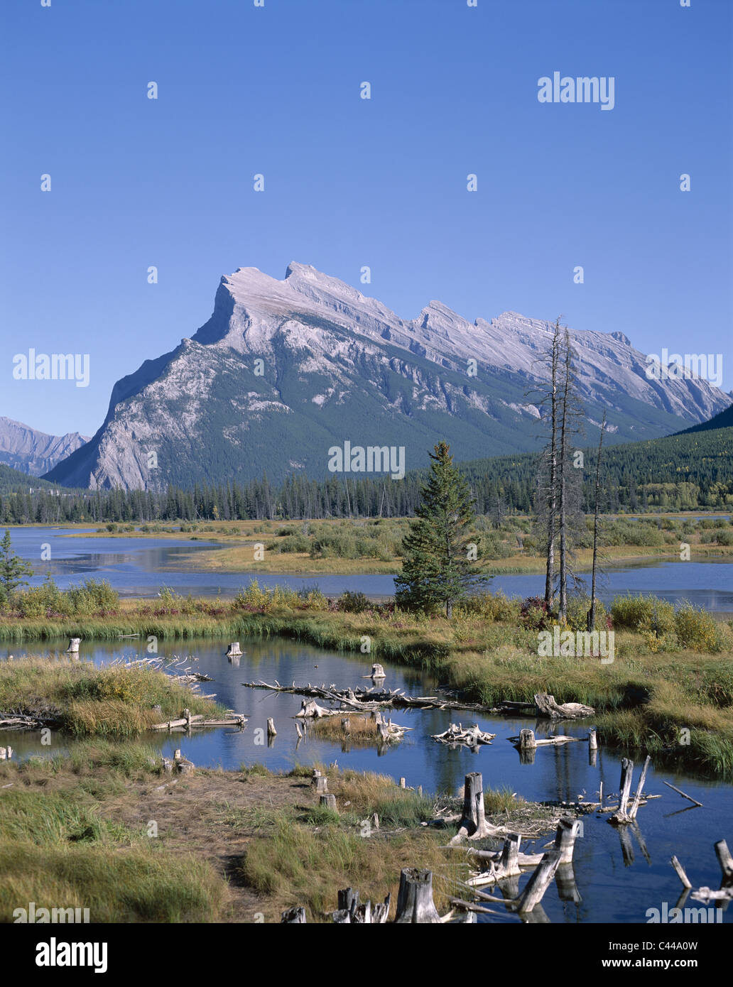 Alberta, Banff, Kanada, Nordamerika, Urlaub, Wahrzeichen, Mount Rundle, Rockies, Tourismus, Reisen, Urlaub, Stockfoto