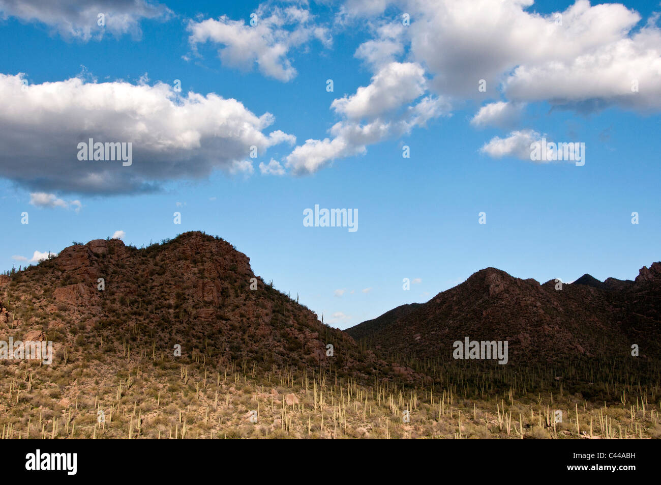 Saguaro National Park, Arizona, Landschaft, Hügel, Himmel, Wolken Stockfoto