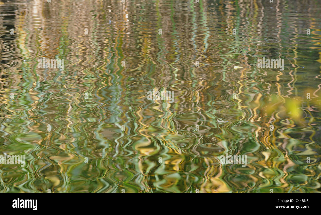 Wasser, Spiegelung, Reflexion, bunt, Natur, Teich, Wellen Stockfoto