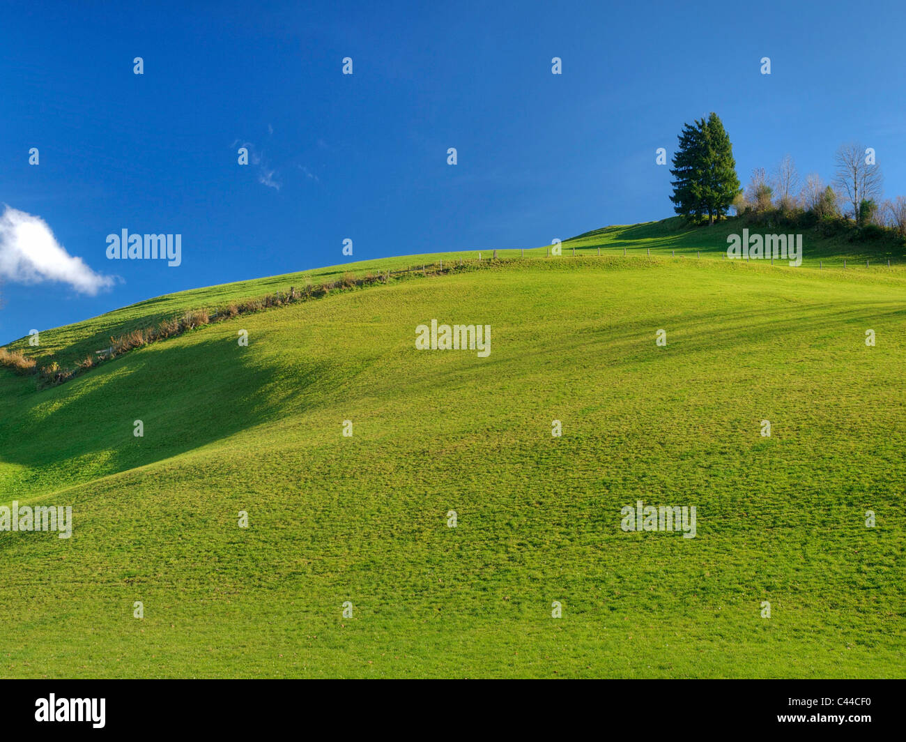 Appenzell, Herbst, Berg, Landschaft, Tannen, Wiesen, Appenzellerland, Appenzell, Schweiz Stockfoto