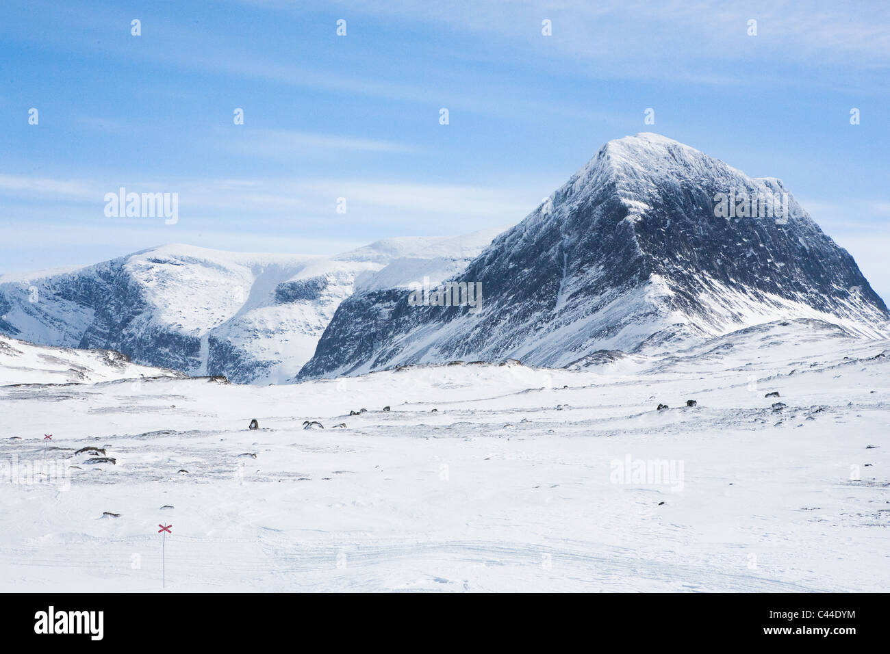 Bild der schwedischen arktischen Bergen Stockfoto