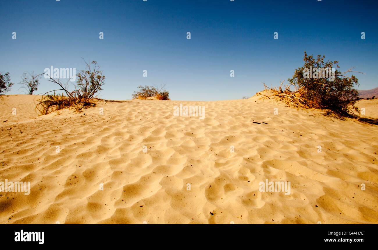 Sanddünen im Death Valley, Kalifornien, USA. Die Wüste im Nationalpark ist einer der heißesten Orte der Welt. Stockfoto