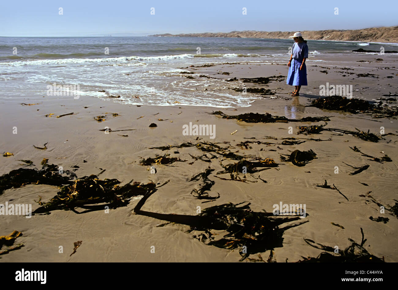 Frau im blauen Kleid am Strand Namibia auf Küstenwüste Stockfoto