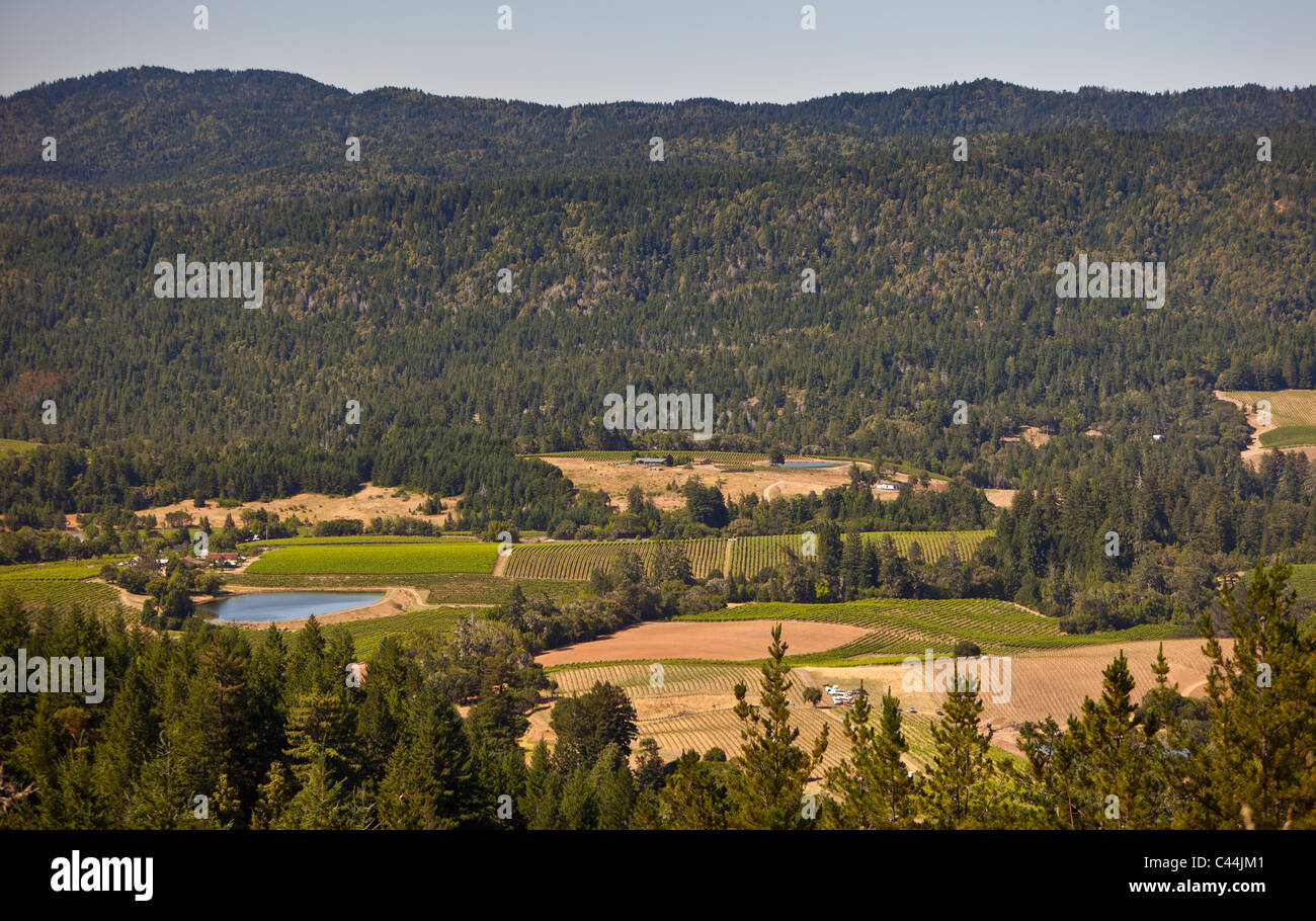 MENDOCINO COUNTY, Kalifornien, USA - Landschaft in Anderson Valley. Stockfoto