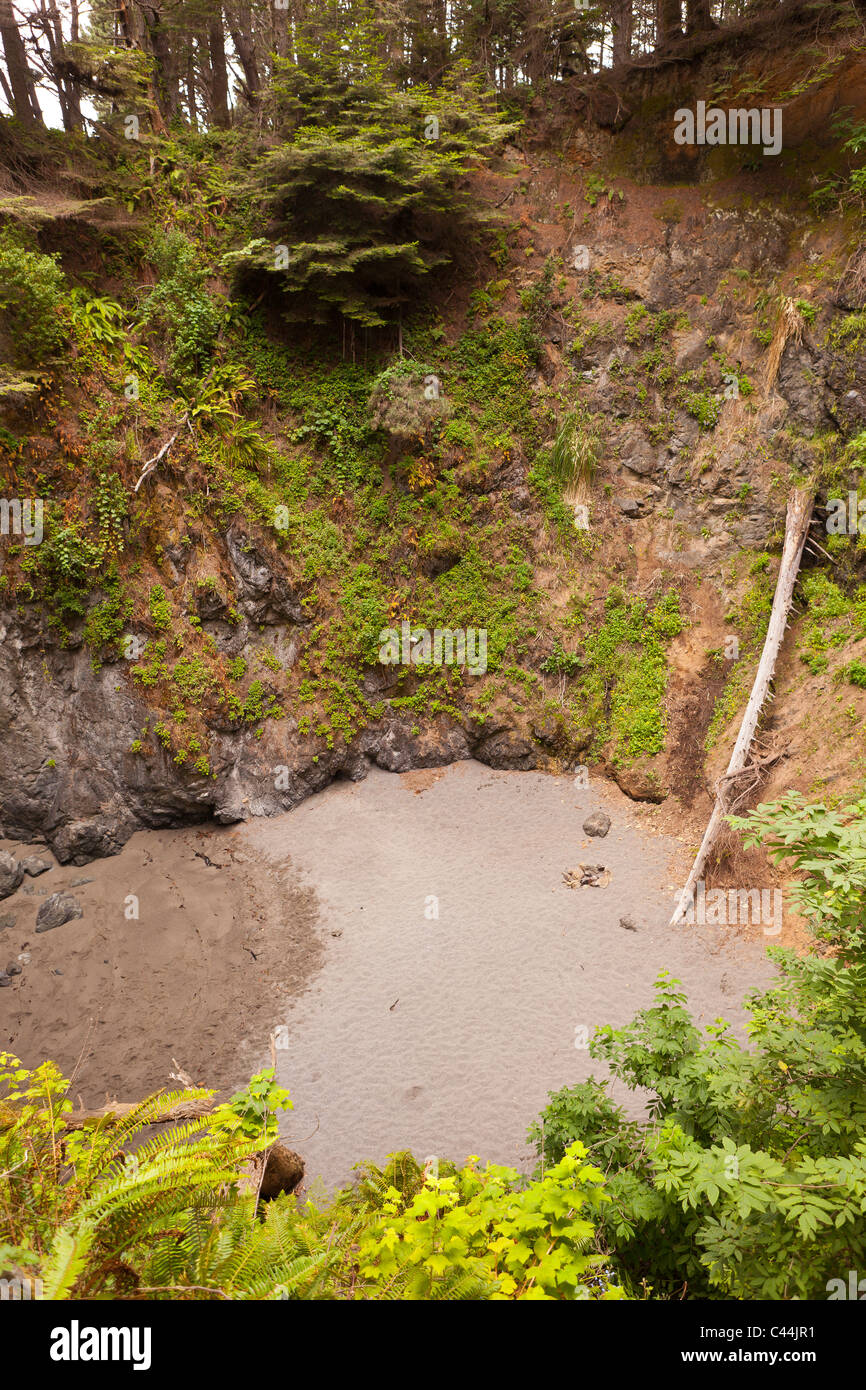 MENDOCINO COUNTY, Kalifornien, USA - Doline in der Nähe der Küste. Stockfoto