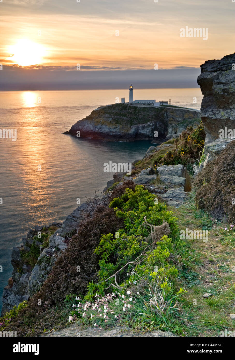 South Stack Leuchtturm bei Sonnenuntergang, Holy Island, Anglesey, North Wales, UK Stockfoto