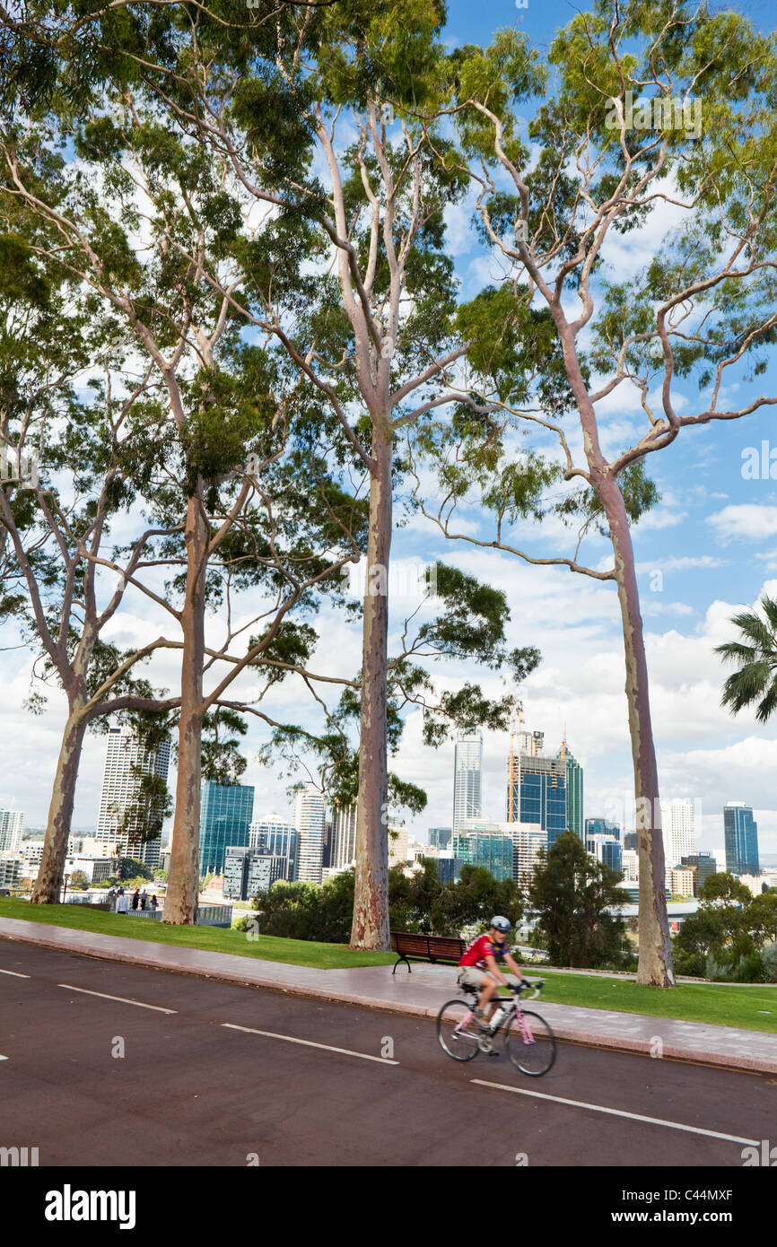 Blick auf die Skyline der Stadt vom Kings Park. Perth, Western Australia, Australien Stockfoto