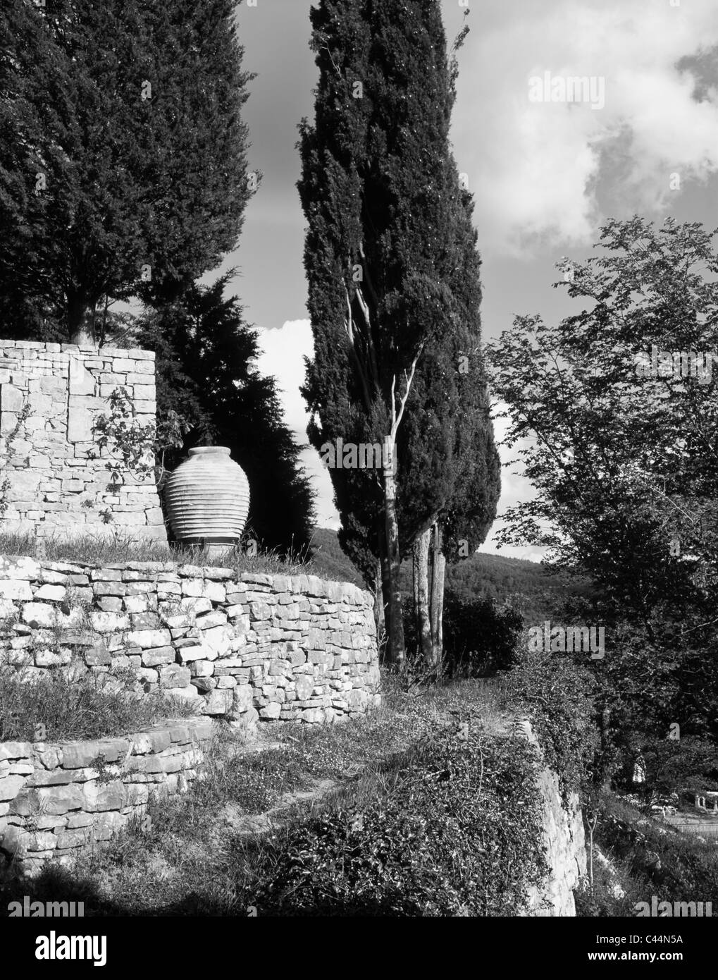 Terrassierten Hang Steinmauer, eine Amphore und Weg zur Zypresse Bäume, Castello d'Albola, Toskana, Italien Stockfoto