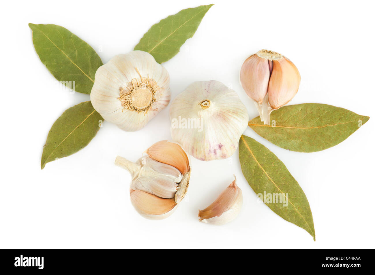 Frischer Knoblauch und trockenen Lorbeer Blätter über weißem Hintergrund Stockfoto