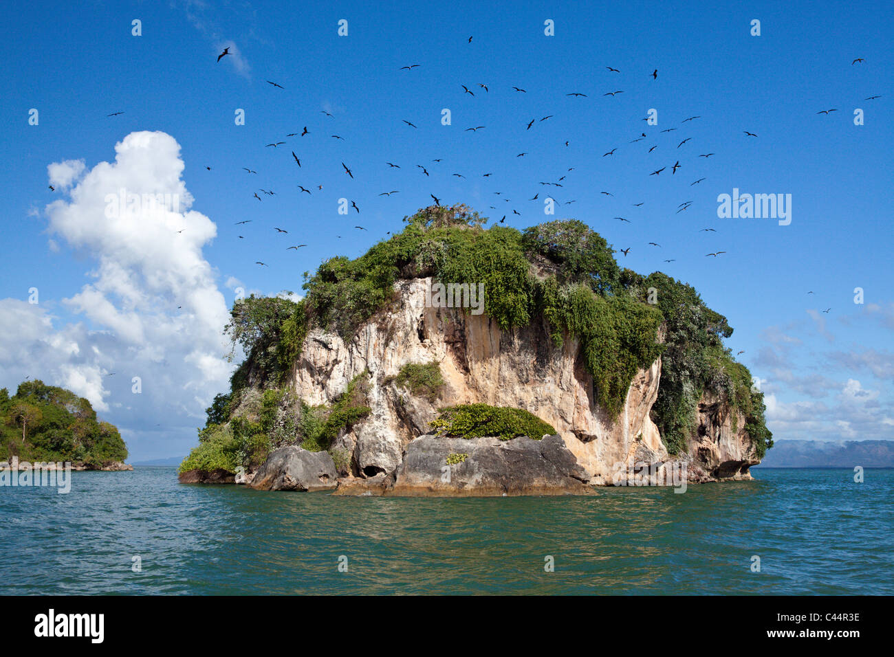 Vogelinsel La Cacata, Nationalpark Los Haitises, Dominikanische Republik Stockfoto