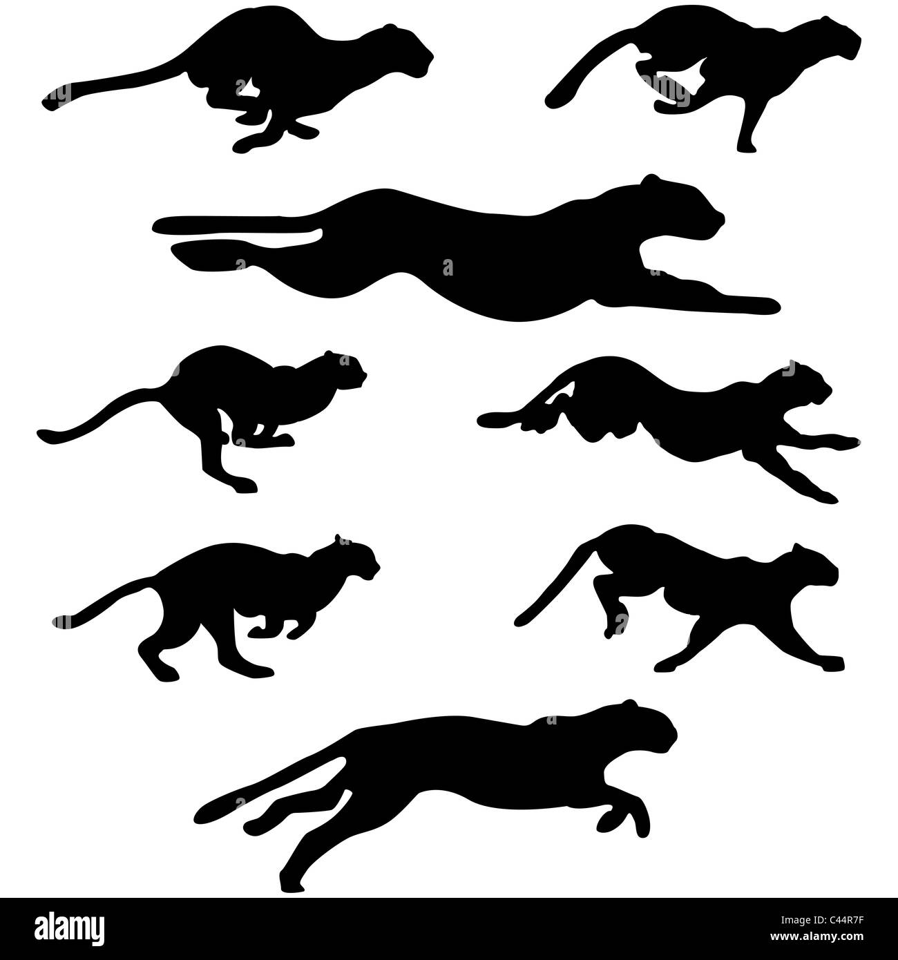 Satz von verschiedenen Wildkatzen laufen Silhouetten Design einsetzbar Stockfoto