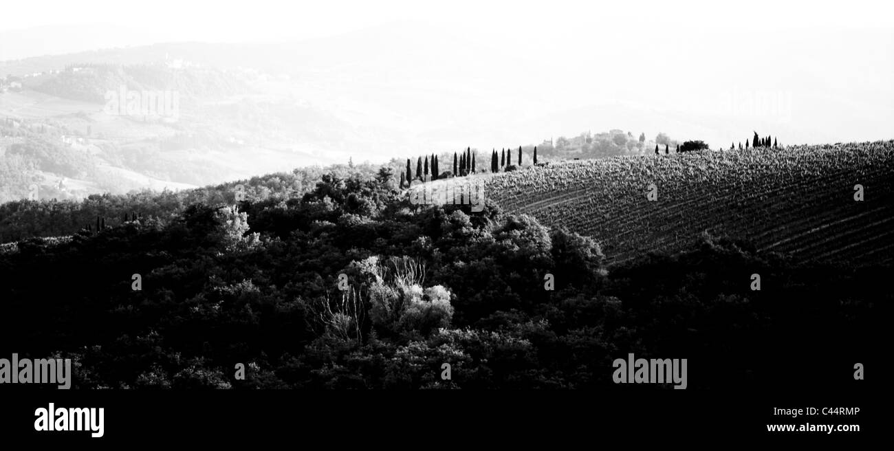 Toskanische Landschaft in der Nähe von Raddi in Chianti, Toskana, Italien Stockfoto