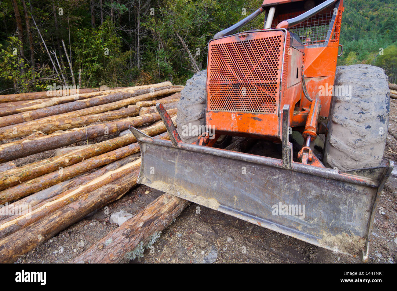 Buldozer und geschnittenen Stämme in einem Wald, Anso Tal, Pyrenäen, Huesca, Aragon, Spanien Stockfoto