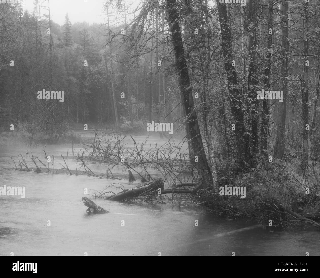 Fluss im Regen Stockfoto