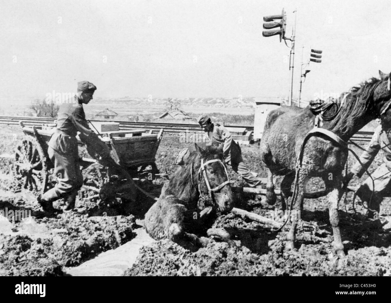 Pferde im Schlamm an der Ostfront 1942 Stockfoto