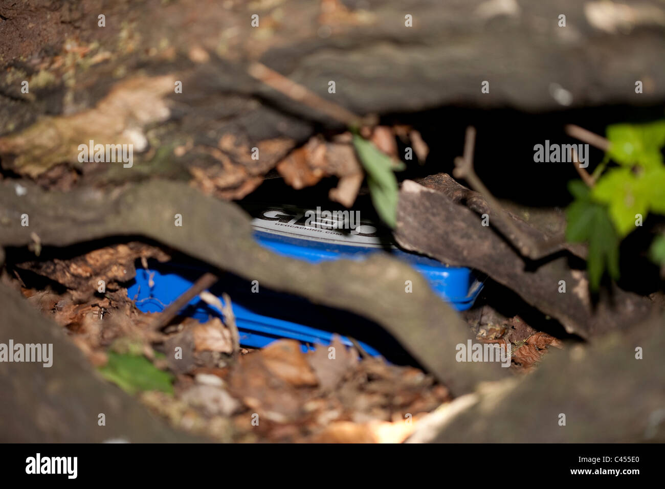 Geocache-Box versteckt unter Protokolle Stockfoto