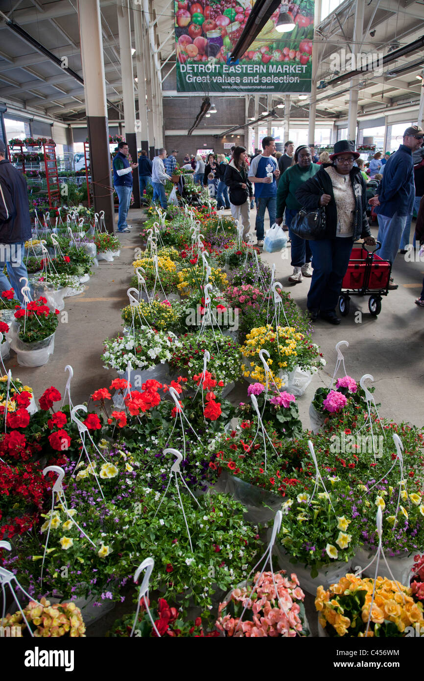 Detroit, Michigan - Blumen zum Verkauf an osteuropäischen Markt, ein großer Bauernmarkt. Stockfoto