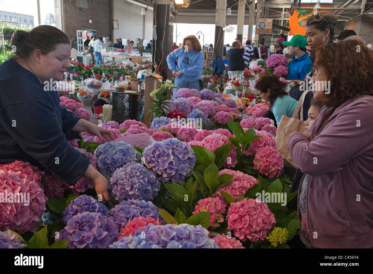 Detroit, Michigan - Blumen am osteuropäischen Markt, ein großer Bauernmarkt verkauft. Stockfoto