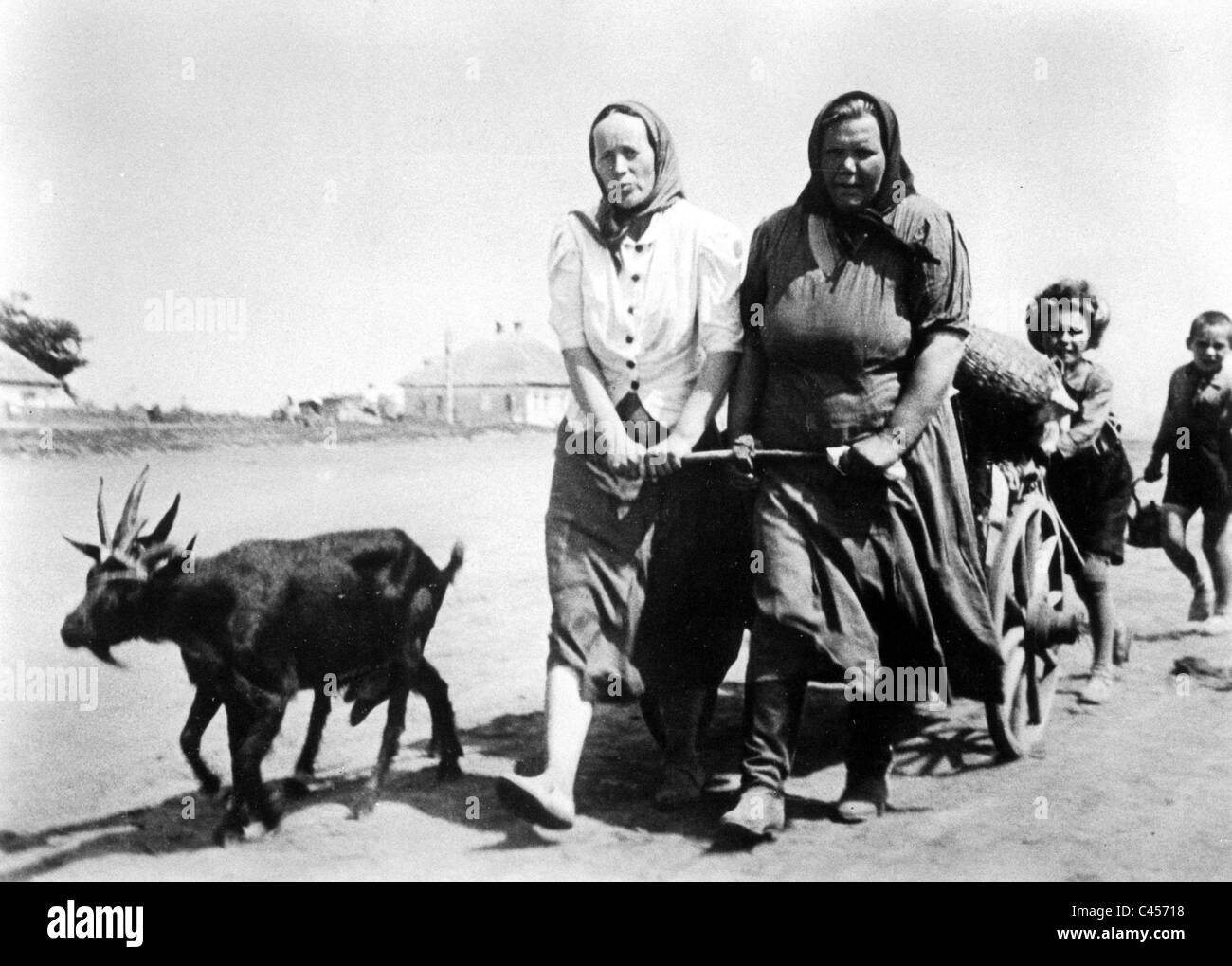 Russischen Volkes fliehen vor kämpfen an der Ostfront 1942 Stockfoto