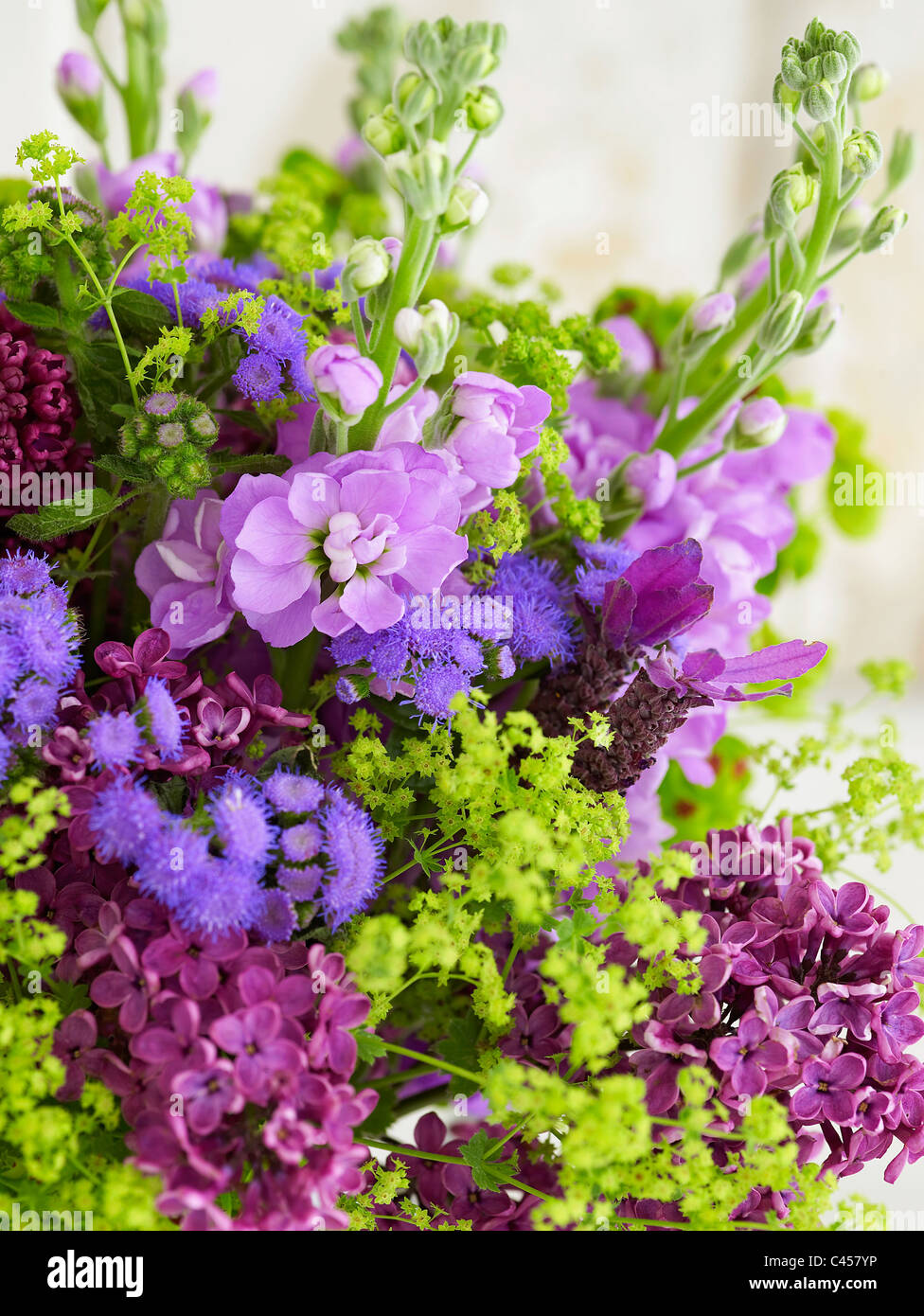 Blumenstrauß einschließlich Aktien, Alchemilla, Lavendel, Euphorbien, Ageratum, Flieder, Nahaufnahme Stockfoto