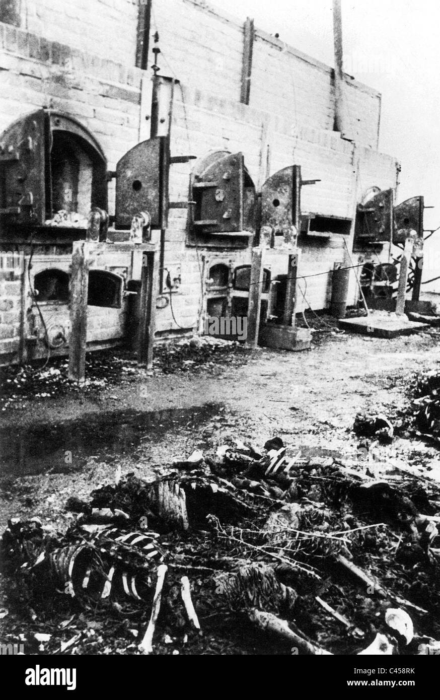 Verbrennungsanlagen im KZ Majdanek Stockfoto