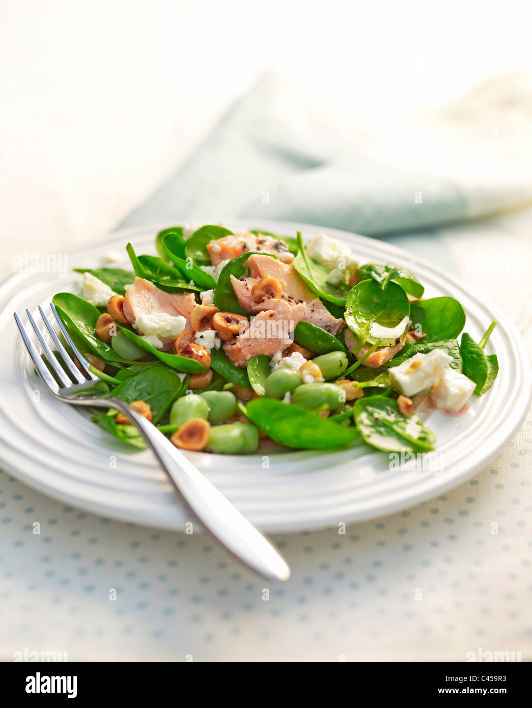Lachs-Spinat-Salat auf Teller, Nahaufnahme Stockfoto
