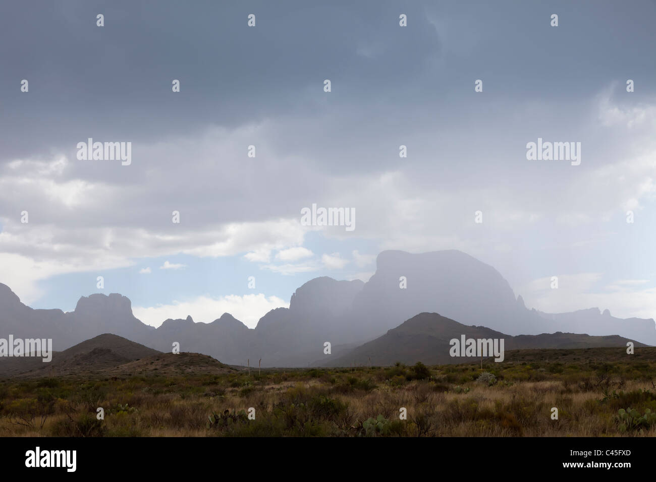 Gewitterwolken mit Gewitter über Wüstengebiet Big Bend Nationalpark Texas USA Stockfoto
