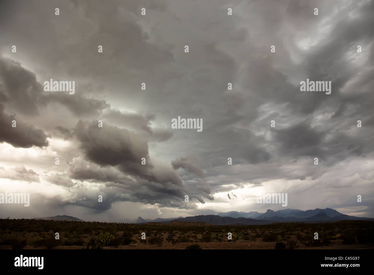 Gewitterwolken mit Gewitter über Wüstengebiet Big Bend Nationalpark Texas USA Stockfoto