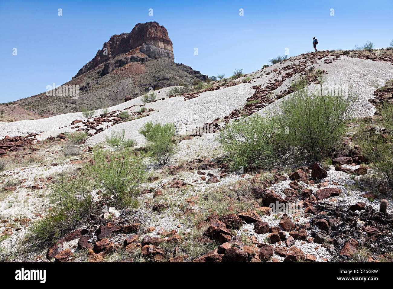 Frau Rucksackreisen in Wüste Big Bend Nationalpark Texas USA Stockfoto