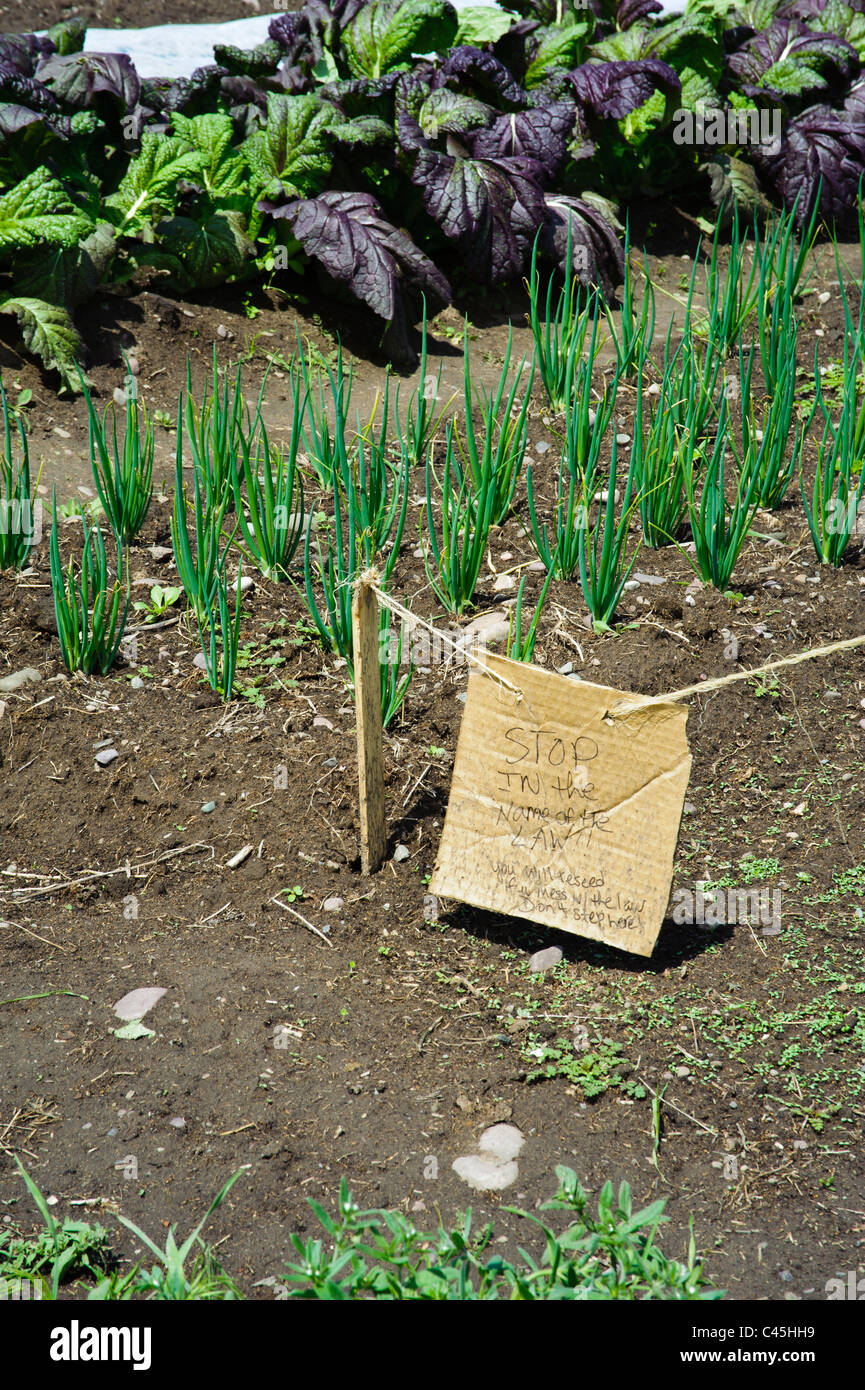Ein Warnzeichen im Garden City Harvest Garten in Missoula, Montana